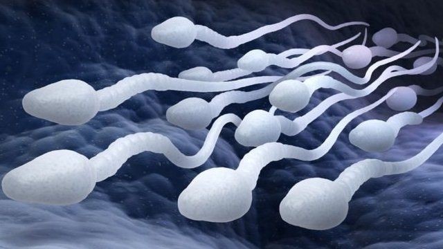 精液能否成為新型非處方避孕藥的關鍵？