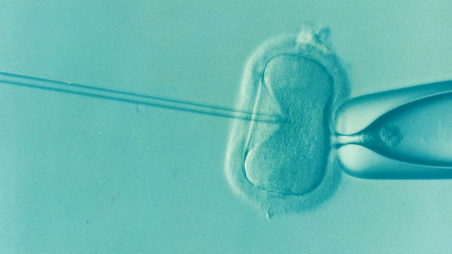 試管嬰兒使用新鮮胚胎勝過冷凍胚胎