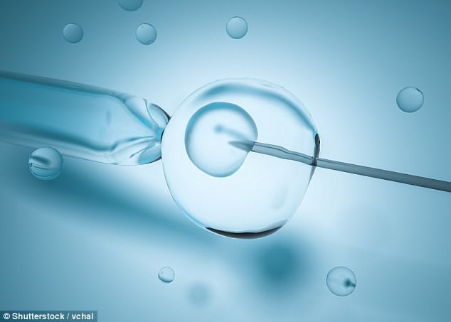 冷凍不比新鮮差！試管嬰兒使用新鮮胚胎與冷凍胚胎活產率相似