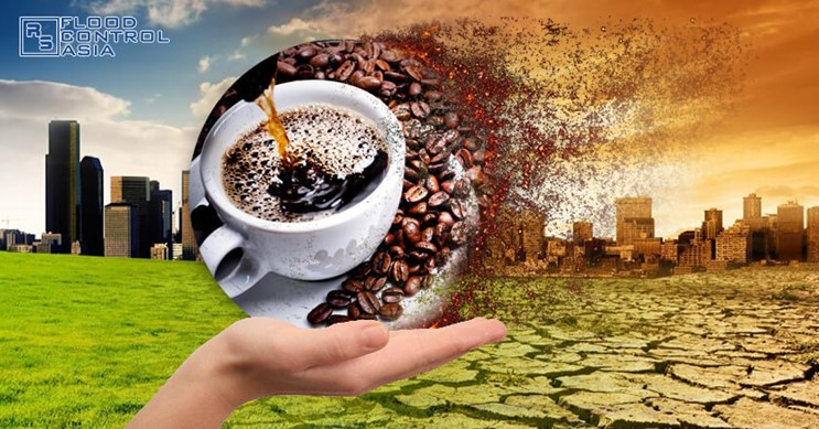 氣候變化會殺死咖啡嗎？