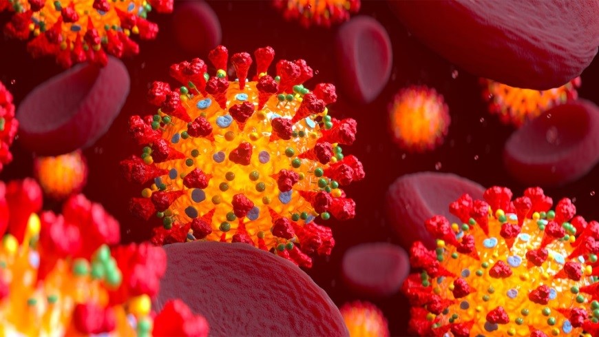 最新大型研究：血型不會影響新冠病毒感染